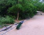 KBR-National-Park3.jpg