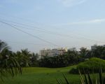 ocean-park2.jpg